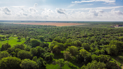 Aerial view of trees and farm land