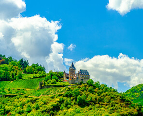 Fototapeta na wymiar riverside vineyard near Hesse on a cloudy sunny day