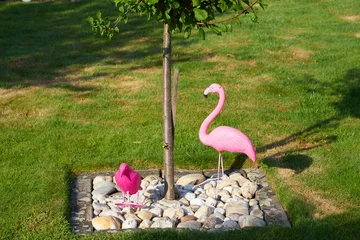 Foto op Plexiglas pink plastic flamingo and crow as garden decoration © Stockhausen