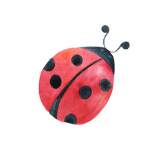 Ladybug. Raster illustration. White isolated background. It can be printed on napkins, calendars, mugs, stickers, dishes. - obrazy, fototapety, plakaty