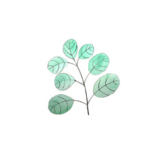 A twig of a green plant, with leaves. Ladybug. Raster illustration. White isolated background. It can be printed on napkins, calendars, mugs, stickers, dishes.