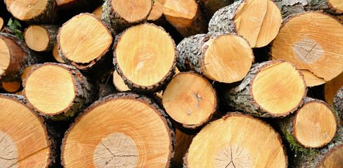 Stacked Wood Logs Pattern Background
