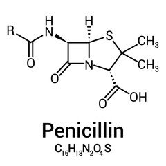 chemical structure of Penicillin (C16H18N2O4S)