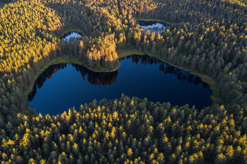 Salainis lake that shape looks like the country of Latvia. Captured from above on a sunny summer...