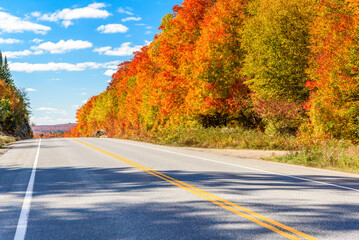 Stunning autumn colours along a straight stretch of a highway on a sunny day