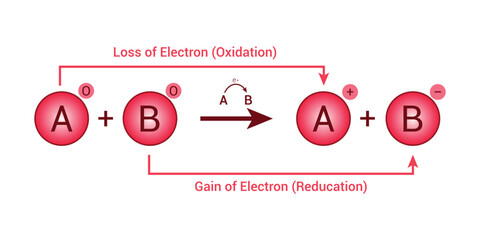 Oxidation reduction redox reaction. Vector illustration isolated on white background. - obrazy, fototapety, plakaty