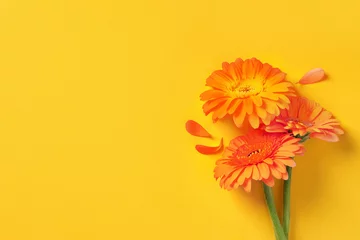 Zelfklevend Fotobehang Beautiful orange gerbera flowers and petals on yellow background, flat lay. Space for text © New Africa