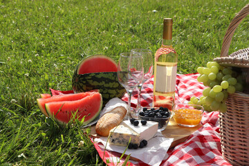 Picnic blanket with delicious food and wine outdoors on summer day