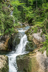 Rottach Wasserfall im bayerischen Wald am Tegernsee in Bayern