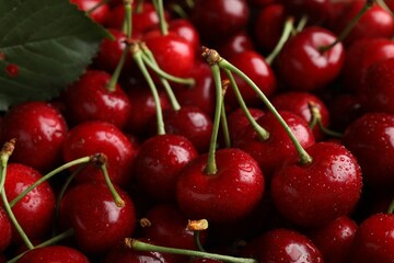 Ripe sweet cherries with water drops as background, closeup