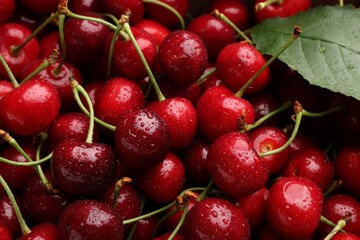 Many sweet cherries with water drops as background, closeup