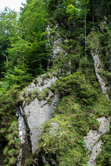 Fototapeta premium Rottach Wasserfall im bayerischen Wald am Tegernsee in Bayern