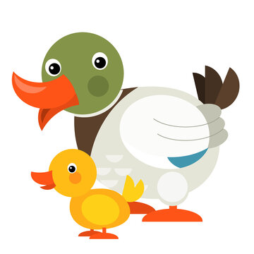 Cartoon happy farm animal cheerful duck family illustration
