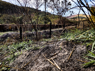 Landscape showing mining area after a fire in Itabira Minas Gerais Brazil