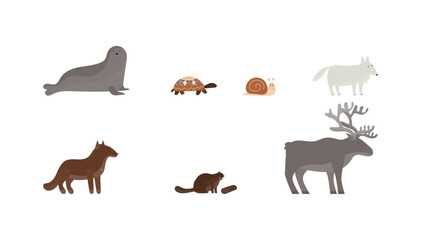 north animal cartoon vector illustration set