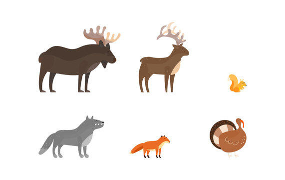 forest animal cartoon vector illustration set