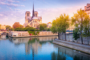 Fototapeta na wymiar Notre Dame of Paris on Seine River reflection and swans, France