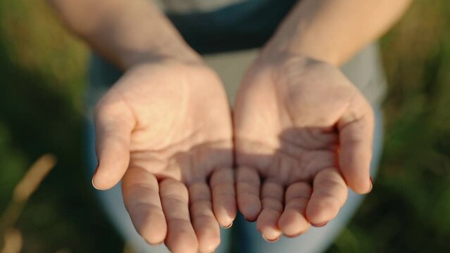 Top view of folded female hands that open