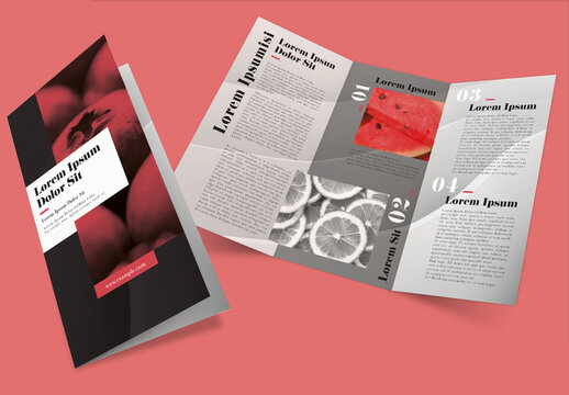 Black and Red Multipurpose Trifold