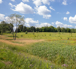 Beautiful Ontario countryside on a sunny summer day in Muskoka Ontario