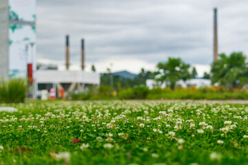 Obraz premium Grass, industry and sky