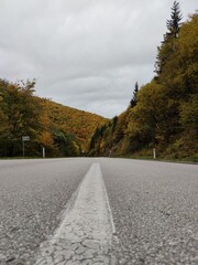 road in autumn