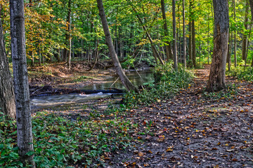 Path on the river bank next to the gushing river in fall - Fall in Central Ontario, Canada