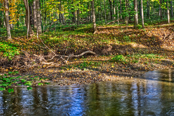 Obraz premium Bright morning lights up the river bank and the woods - Fall in Central Ontario, Canada