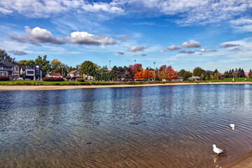 Obraz premium Beautiful fall day by the lake with pigeons hunting for food - Fall in Central Ontario, Canada