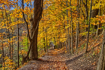 Path by the sloping valley filled with golden leaves from the trees - Fall in Central Ontario, Canada