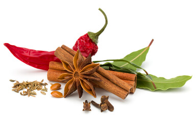 Various spices isolated over white background. Bay leaves, cinnamon and anise stars..