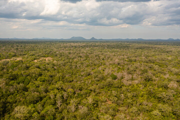 Obraz premium Aerial view of Jungle and rainforest in the National Park. Sri Lanka.
