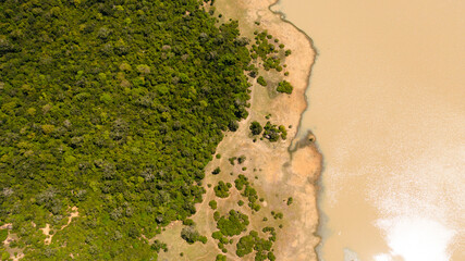 A lake with a wild animal surrounded by jungle and tropical vegetation. Sri Lanka.
