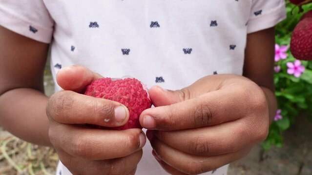 Asian child tries to peel a lychee fruit. Baby boy eating fresh lychees. A baby boy and lychee fruits. Fruit-eating concepts. Close-up 4k video.