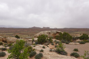 Fototapeta premium Arches National Park, Moab, Arizaona
