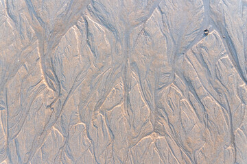 Delta Patterns in the Sand