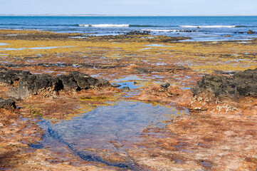 Low tide at Dodds Creek Beach - Flinders, Victoria, Australia