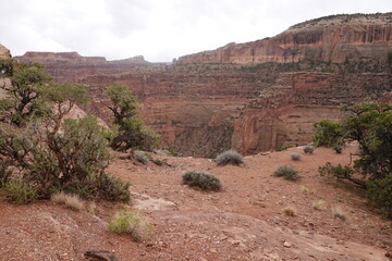 Canyonlands, Moab, Utah, USA