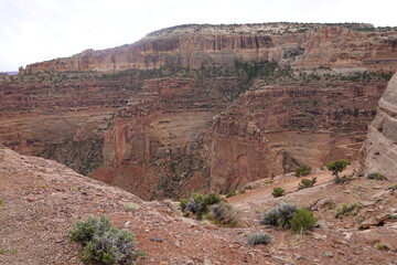 Canyonlands, Moab, Utah, USA