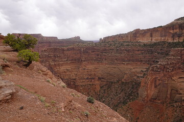 Canyonlands, Moab, Utah, USA