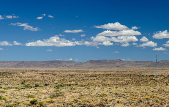 Estepa 01 - RN 237, Neuqu&eacute;n, Patagonia
