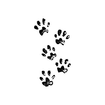 Animal Tracks Dotwork. Vector Illustration of Hand Drawn Objects.