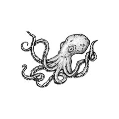 Octopus Dotwork Drawing. Vector Illustration of Hand Drawn Objects.
