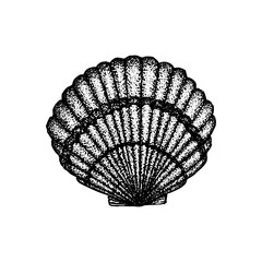 Seashell Dotwork Drawing. Vector Illustration of Hand Drawn Objects.