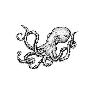 Octopus Dotwork Drawing. Vector Illustration of Hand Drawn Objects.