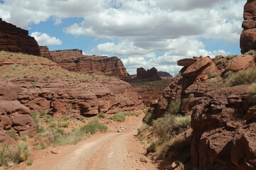 Canyonlands National Park, Moab, Utah