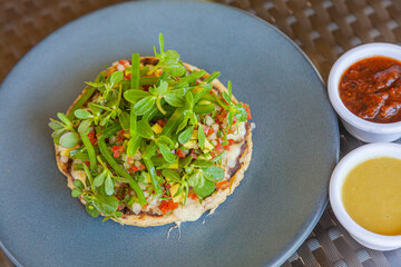 Tostadas Vegetarianas