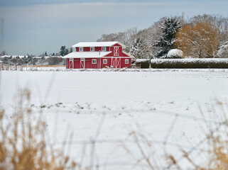 Red Barn in Winter Snow. Fresh winter snow and a red barn on a farm.

