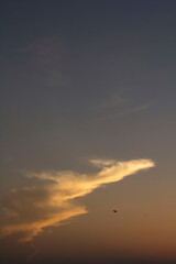 Different shapes of animal-like clouds and multicolored clouds were floating in the air as the atmosphere on the evening before sunset was different for each day.