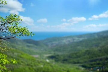 Mountain the green hills. Beautiful mountain hills. Green mountain hills landscape. Mountain landscape